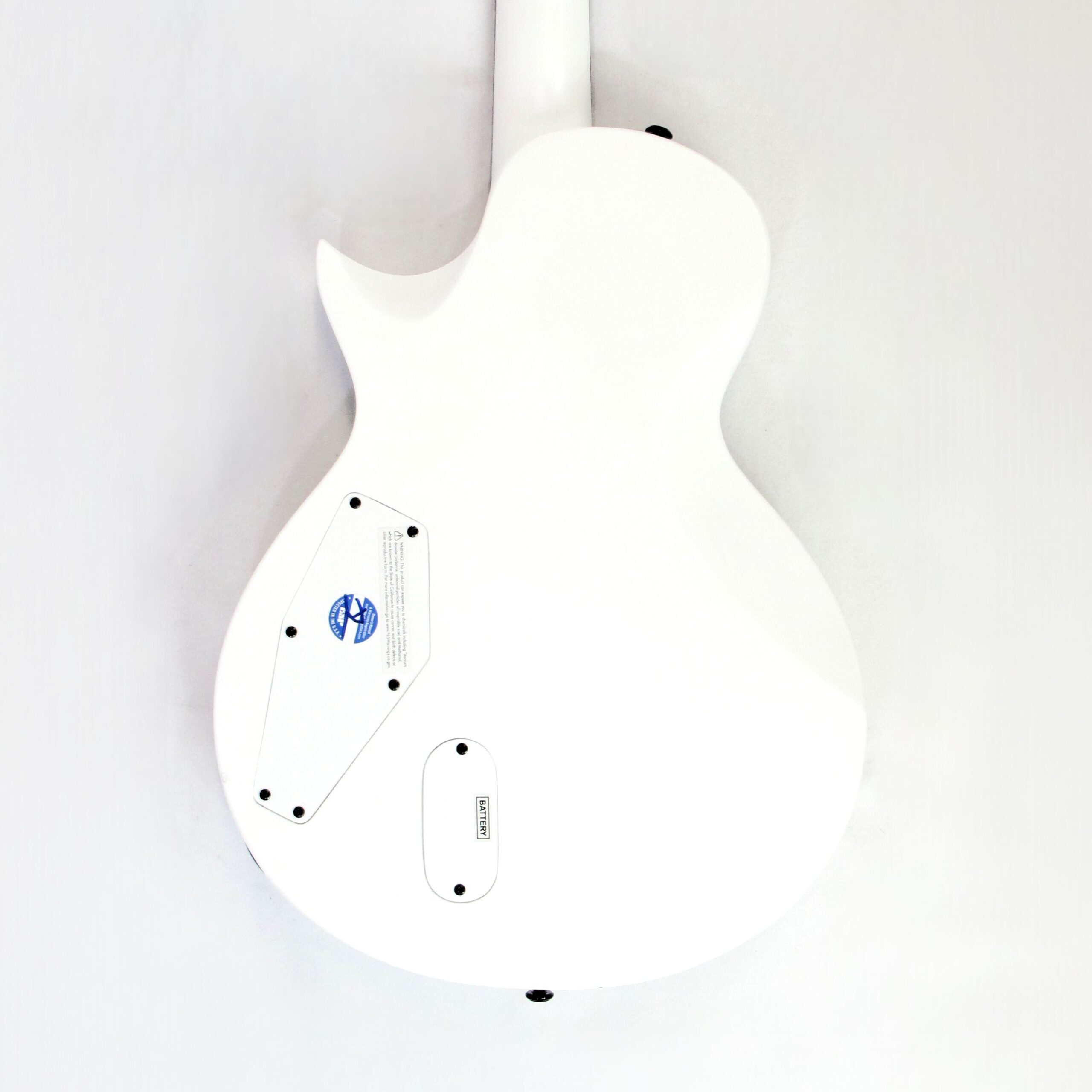 LTD EC Arctic Metal Used