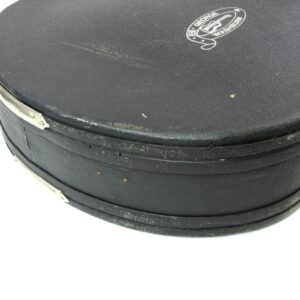 Washburn AB20 Acoustic-Electric Bass Used