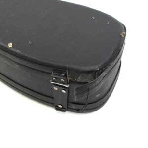 Washburn AB20 Acoustic-Electric Bass Used