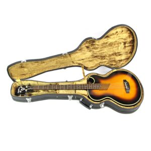 Washburn AB20 Acoustic-Electric Bass Used