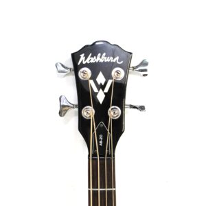 Washburn AB20 Acoustic-Electric Bass Used