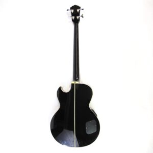 Washburn AB20 Acoustic-Electric Bass Used