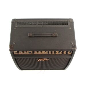 Peavey Ecoustic 112 EFX Acoustic Guitar Combo Amplifier Used