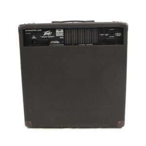 Peavey Ecoustic 112 EFX Acoustic Guitar Combo Amplifier Used
