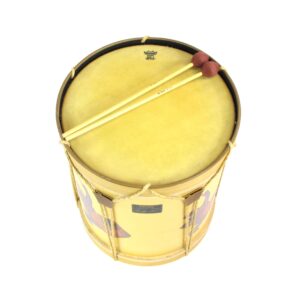 Remo Mickey Hart Signature Drum Used