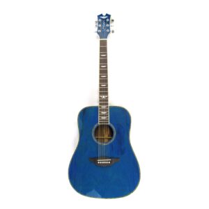 Urban American Vintage Acoustic Guitar Used