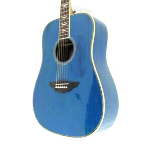 Urban American Vintage Acoustic Guitar Used