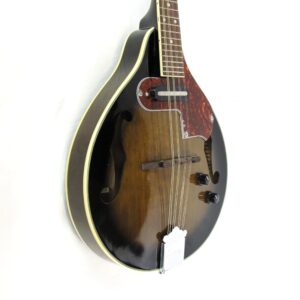 Ibanez M510E Electric Mandolin Used