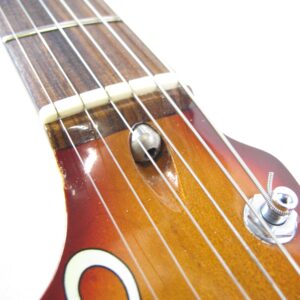 G&L Signature Series Skyhawk - 1989 Vintage