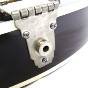 Heritage H-550 Custom Hollowbody - 1999 Vintage