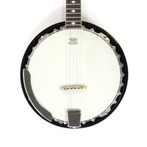 Crestwood 5-String Banjo Used