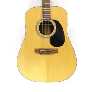 Bristol BD-16 Acoustic Guitar Used