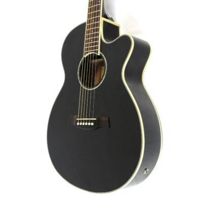 Ibanez AEG10II Acoustic-Electric Guitar Used