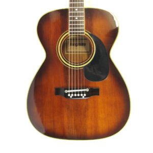 Magnum 306 Acoustic Guitar Used