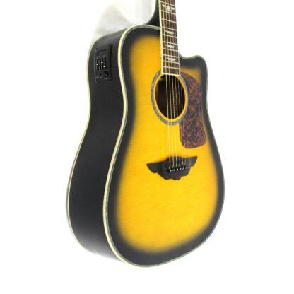 Urban Player Acoustic-Electric Guitar Used