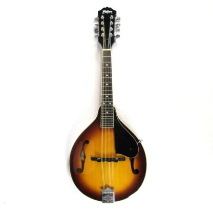 Washburn M1S A-Style Mandolin Used