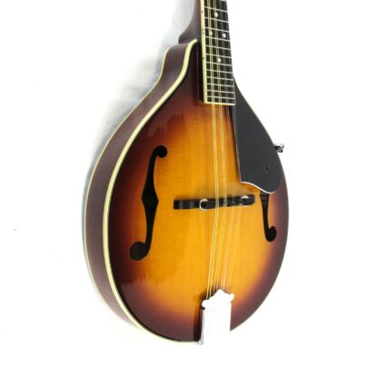 Washburn M1S A-Style Mandolin Used