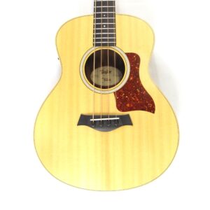 Taylor GS Mini Bass Used