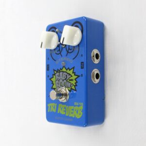 Biyang RV-10 Tri Reverb Used