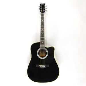 Esteban ALC-200 Acoustic-Electric Guitar Used