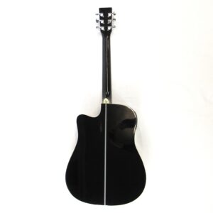 Esteban ALC-200 Acoustic-Electric Guitar Used