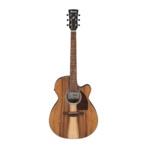 Ibanez PC50WSCE Acoustic-Electric Guitar